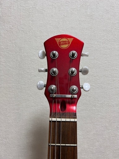 【終了】ピグノーズ アンプ内蔵エレキギター