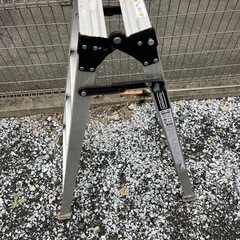 脚立　キャタツ