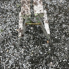 脚立　キャタツ