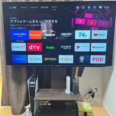 48インチ　有機ELテレビ