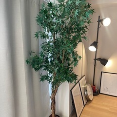 人工観葉植物 約180cm