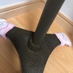 トルソー
の画像