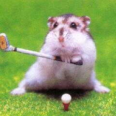 ⛳️ゴルフサークルのお誘い⛳️ − 埼玉県