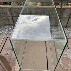 テトラ　フレームレス　水槽　450
