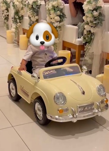 ラジコンカー　リングボーイ用など