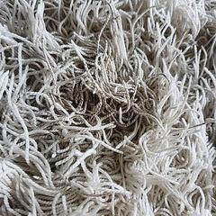 絨毯　カーペットの画像