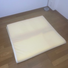 トゥルースリーパーのマットの画像