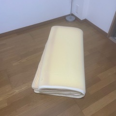 トゥルースリーパーのマットの画像