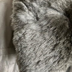 ファー付きダウンコートの画像