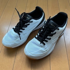 新品同様　バレーシューズ　軽量　24.0cm バレーボール 靴　...