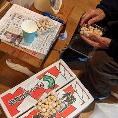 【新物‼️2025年11月収穫分‼️】ぎんなん　銀杏　100ｇあたり100円　多めにサービスします　全国配送可　農薬不使用　無農薬　天然　岩手県産　花巻産　おつまみ　おいしい　茶碗蒸し　量り売り　ヤミツキ　やみつき　つまみ　酒のお供に　居酒屋　飲み屋　うまい　いちょう　晩酌　大粒　保存食　完熟　山の幸　無漂白　殻付き　手洗い　天日干し　天ぷら　炊き込みご飯　おこわ　ギンナン　イチョウの画像