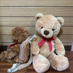 クマのぬいぐるみの画像