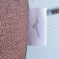 MIZUNO(ミズノ) 健康器具 腹筋プルレ 座ってもたれるだけ 腹直筋に集中アプローチ 5段階リクライニング C3JHI801の画像