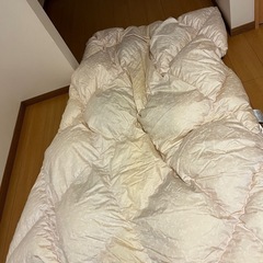 羽毛布団（終了しました
）の画像