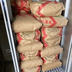 楽天市場】【数量限定】【令和6年】兵庫県産 ヒノヒカリ 30kg
