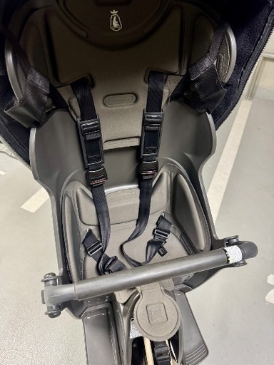 電動子供乗せ自転車 bike poler 2018年購入