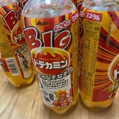 ドデカミン600ml 19本の画像