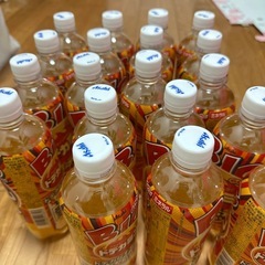 ドデカミン600ml 19本の画像