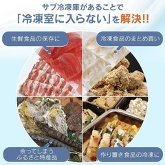 （ジャンク？）アイリスオーヤマ 冷凍庫 60L の画像