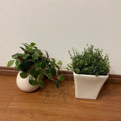 造花　インテリア