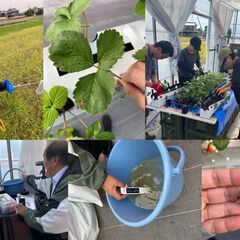  京都で福祉と農業を就労継続支援B型でしている京・ふぁーむOMOYAです！！【利用者募集】【在宅ワーク可】 - 京都市