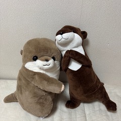 カワウソぬいぐるみセット