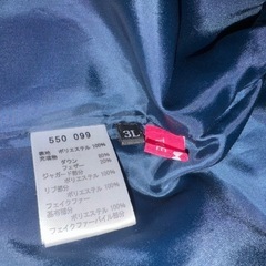 レディースコートの画像