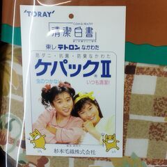 未使用品 掛け布団 シングルサイズ 東レ テトロン中綿　/TJ-2202 1FOの画像