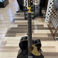 グレッチ エレアコ G5022CBFE FLCN JMB