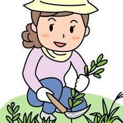 解体、その他作業員募集中！経験は問いません！の画像