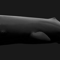 UE5によるゲーム開発　プログラマー募集