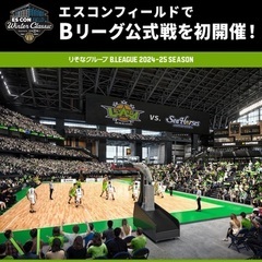 【大人自由席４枚】レバンガ北海道 Winter Classic＠...