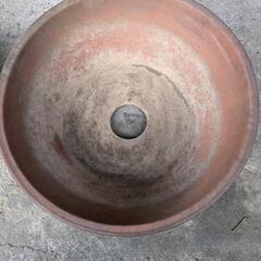 大型植木鉢