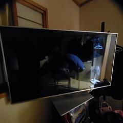 Panasonic55型(ジャンク品)商談中
