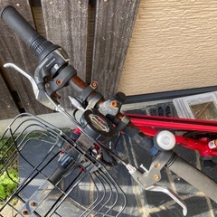 自転車　キッズ　子供　22インチ　男の子　変速　スピードウォッチ　赤の画像