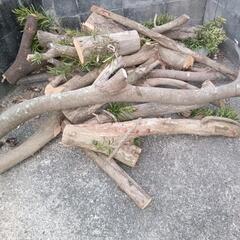 伐採木