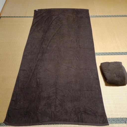 タオルシーツ　110✕220　2枚組