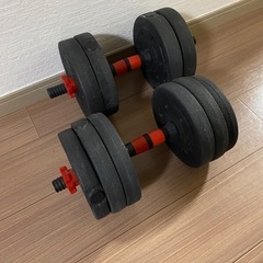 筋トレ　バーベル　アームバー　エクササイズ　トレーニング