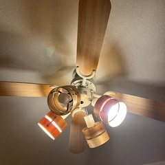 シーリングライト 1/28まで！！！の画像