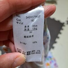 80cm蝶々セットアップ の画像