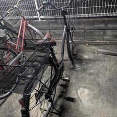 自転車　追記ありの画像