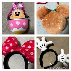 大至急‼️ディズニーリゾートまとめ売りの画像