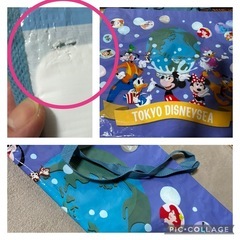 大至急‼️ディズニーリゾートまとめ売りの画像
