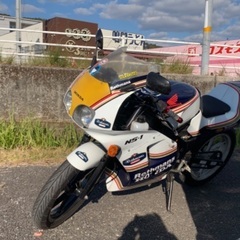NS-1 極上！