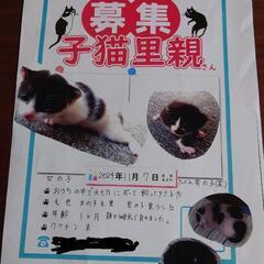 里親募集