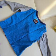 100 ANAP　ロンTの画像