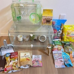 ハムスター飼育セット➕おまけ❓　　　　　 