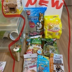 ハムスター飼育セット➕おまけ❓　　　　　 の画像