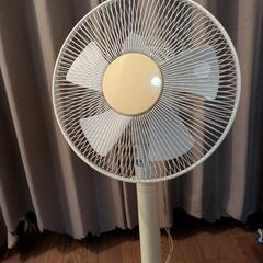 扇風機/0円/いつでも受け渡し可