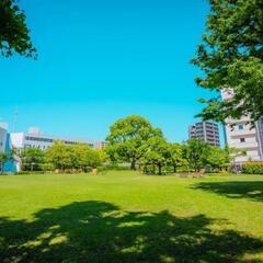 秋葉原でモルックをやりませんか？　初心者&初級者限定 - 千代田区